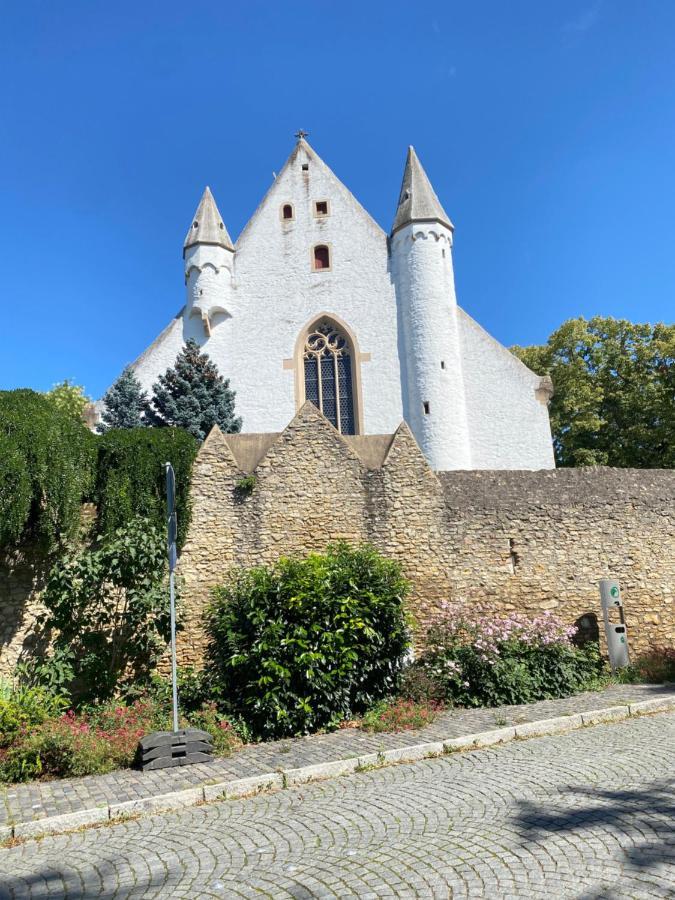 Haeuschen Am Plenzer Villa Ingelheim am Rhein Eksteriør bilde