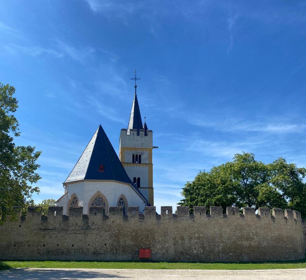 Haeuschen Am Plenzer Villa Ingelheim am Rhein Eksteriør bilde