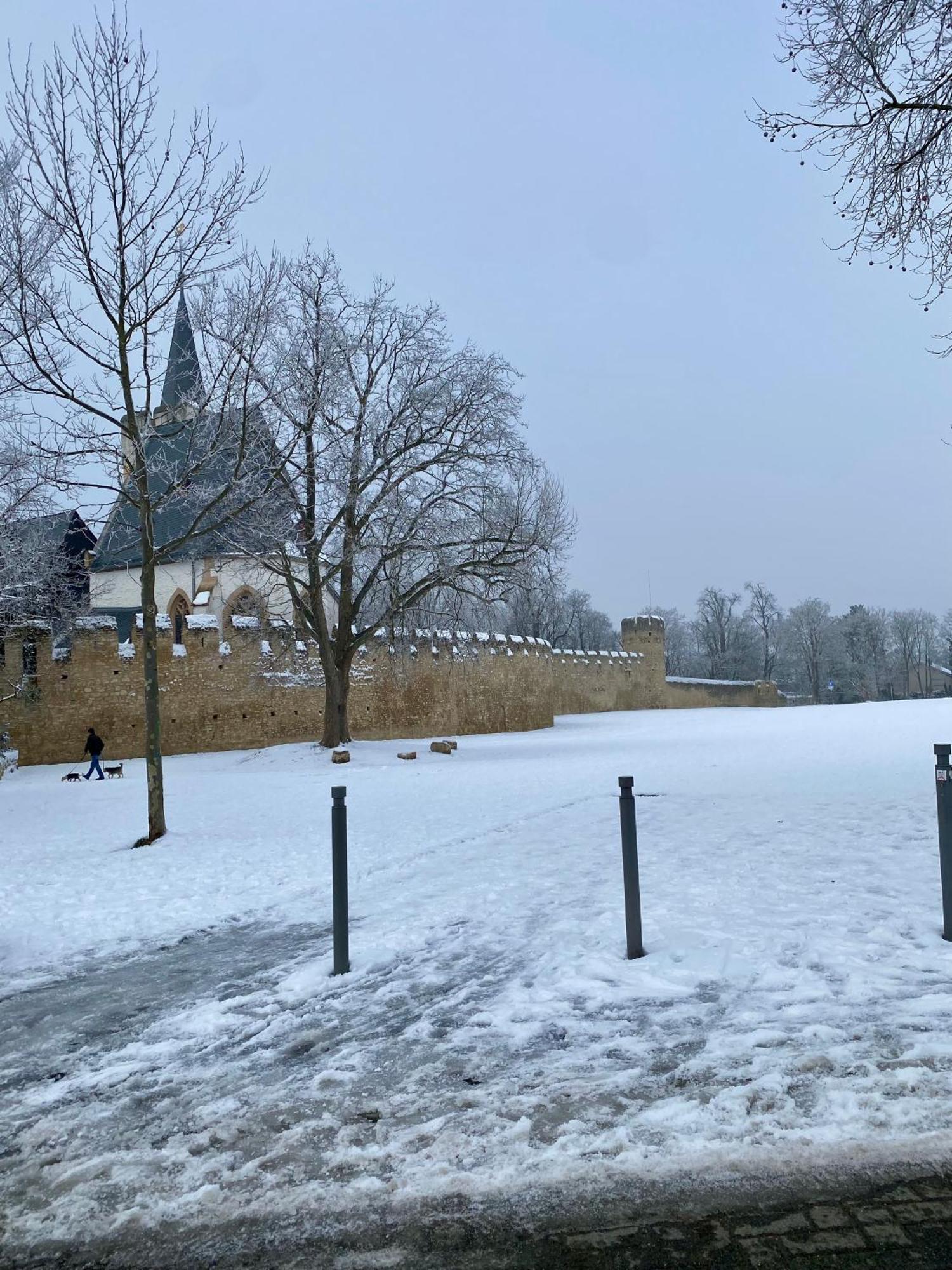 Haeuschen Am Plenzer Villa Ingelheim am Rhein Eksteriør bilde