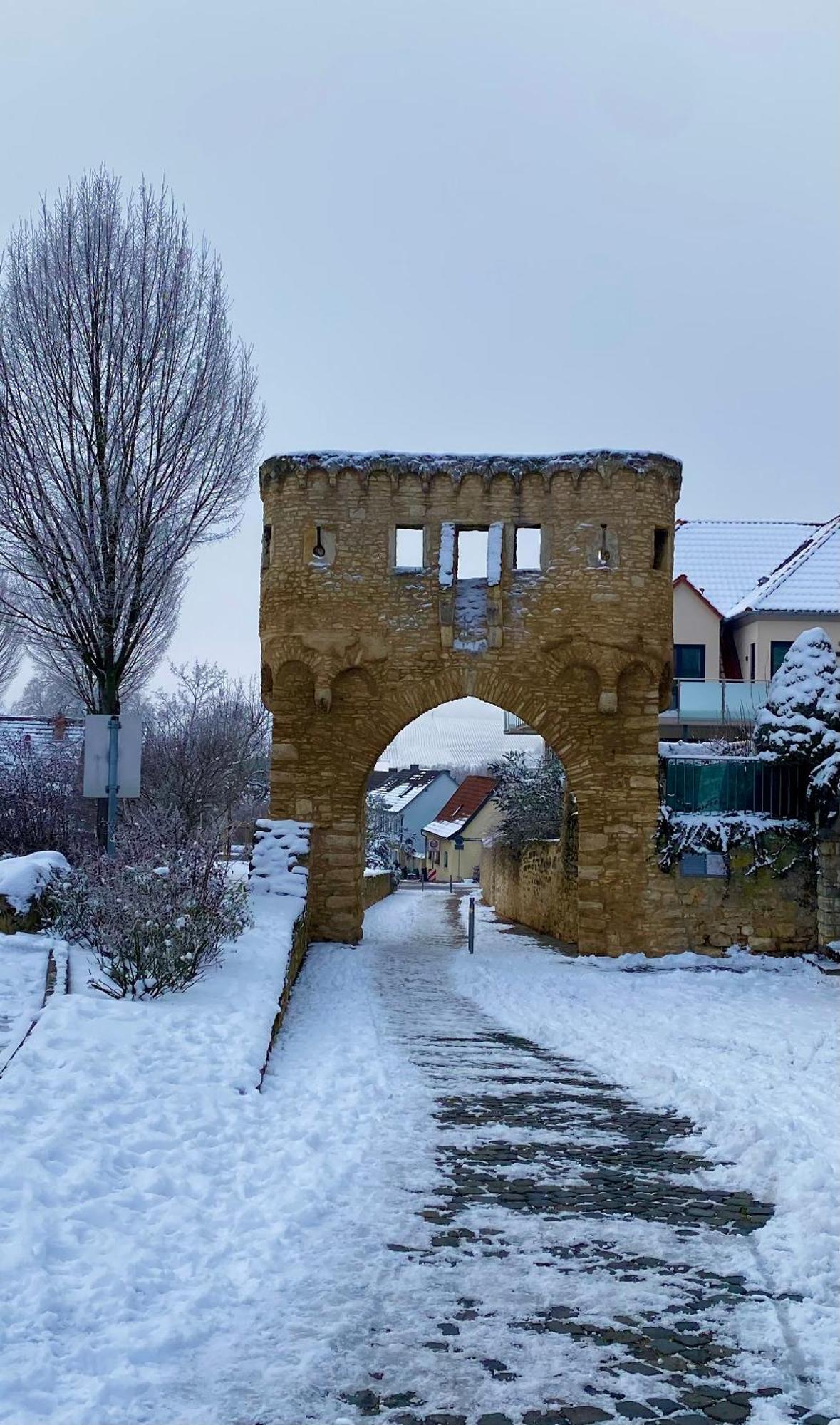 Haeuschen Am Plenzer Villa Ingelheim am Rhein Eksteriør bilde